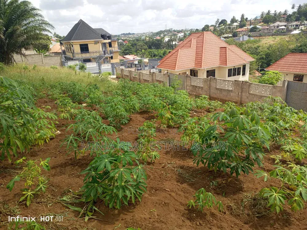 Kiwanja Kinauzwa Bunyokwa Bei Nzuri Sana