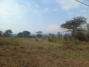 Prime Land for Sale-Olasiti-Afcon Rd