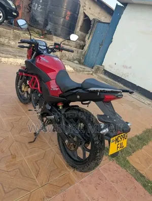 Kingbird 2025 Red