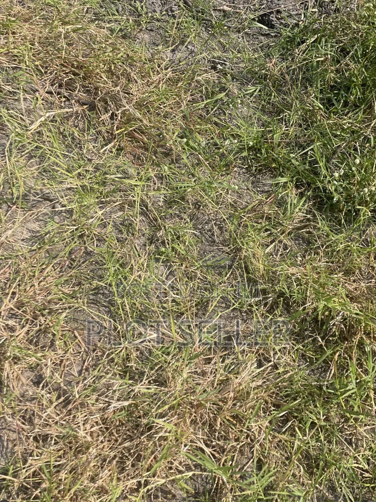 2 Acers for Sale Facing Morogoro Road at Mlandizi