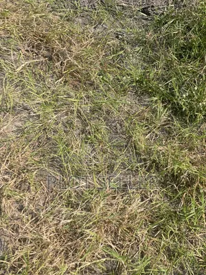 2 Acers for Sale Facing Morogoro Road at Mlandizi