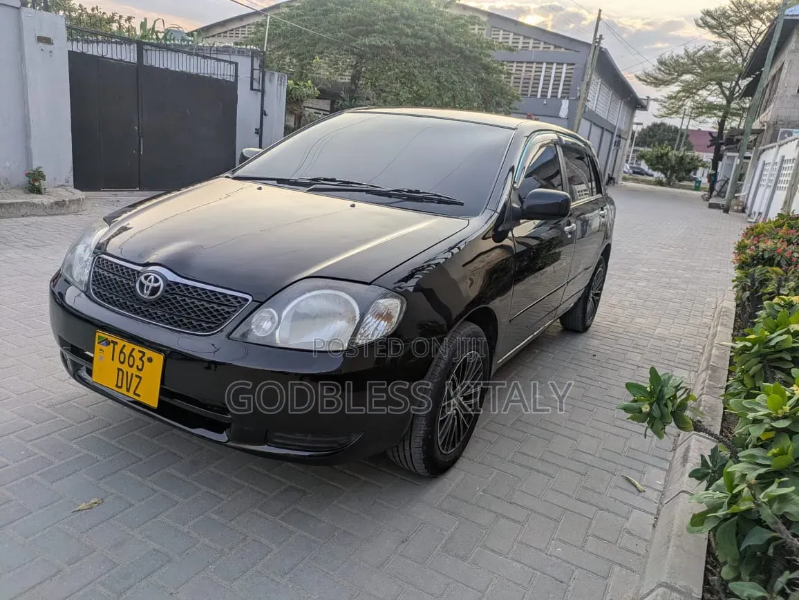 Toyota Allex 2003 Black