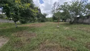 Plot Area SQM 2000 for Sale Located in Changanyikeni
