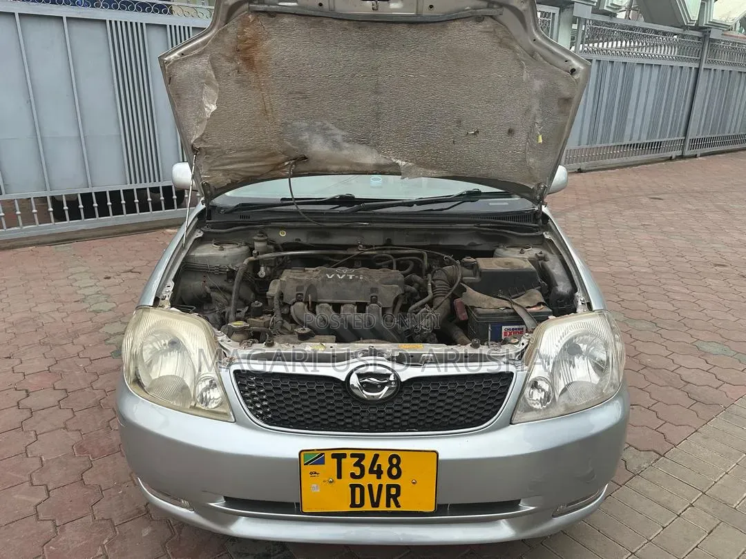Toyota Corolla RunX 2003 White