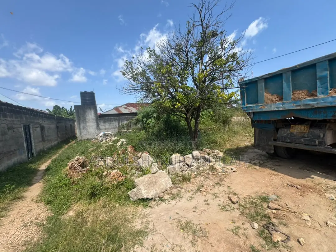 Plot of Land in Mfenesini