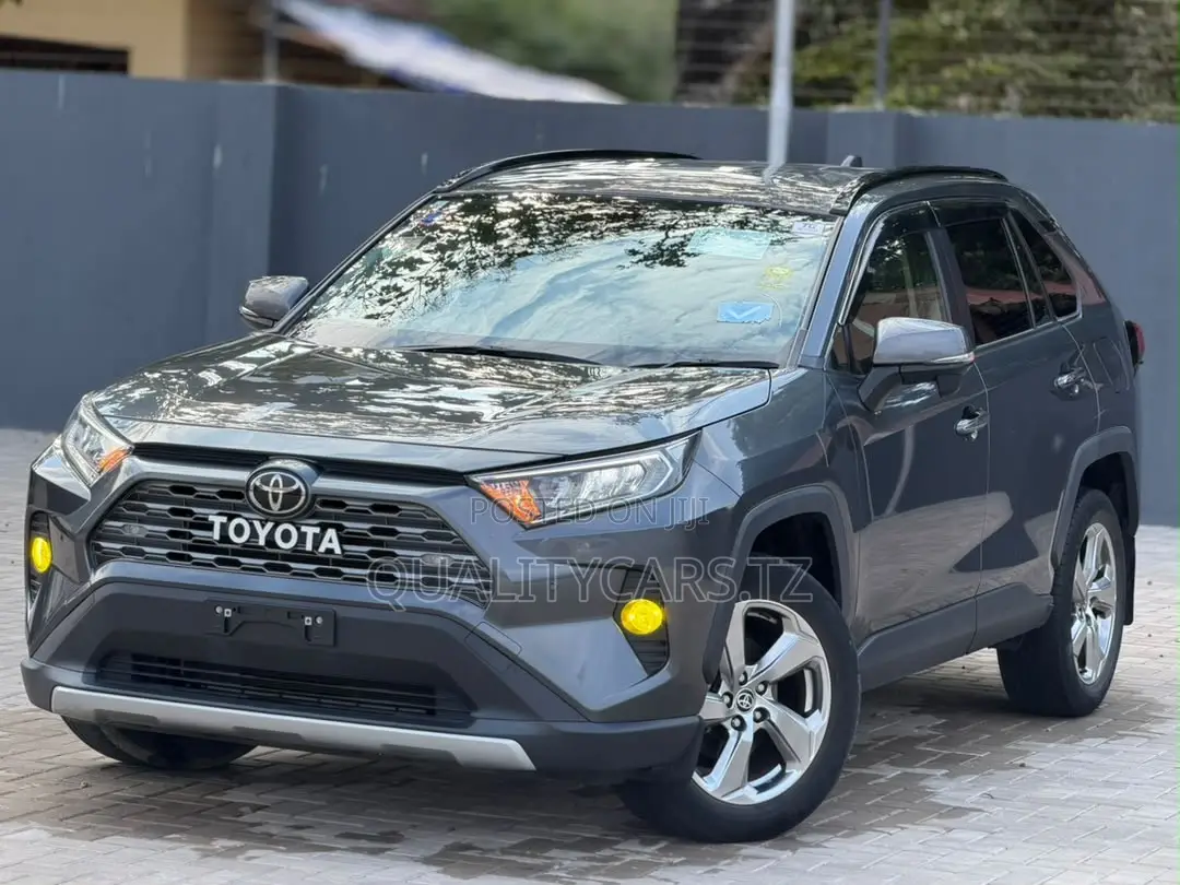 Toyota RAV4 2020 Gray