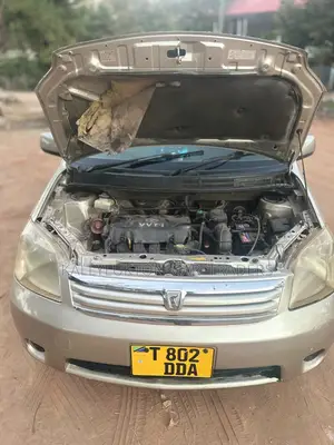 Toyota Raum 2008 Gold
