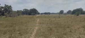 Kiwanja Kitopeni Bagamoyo Mjini