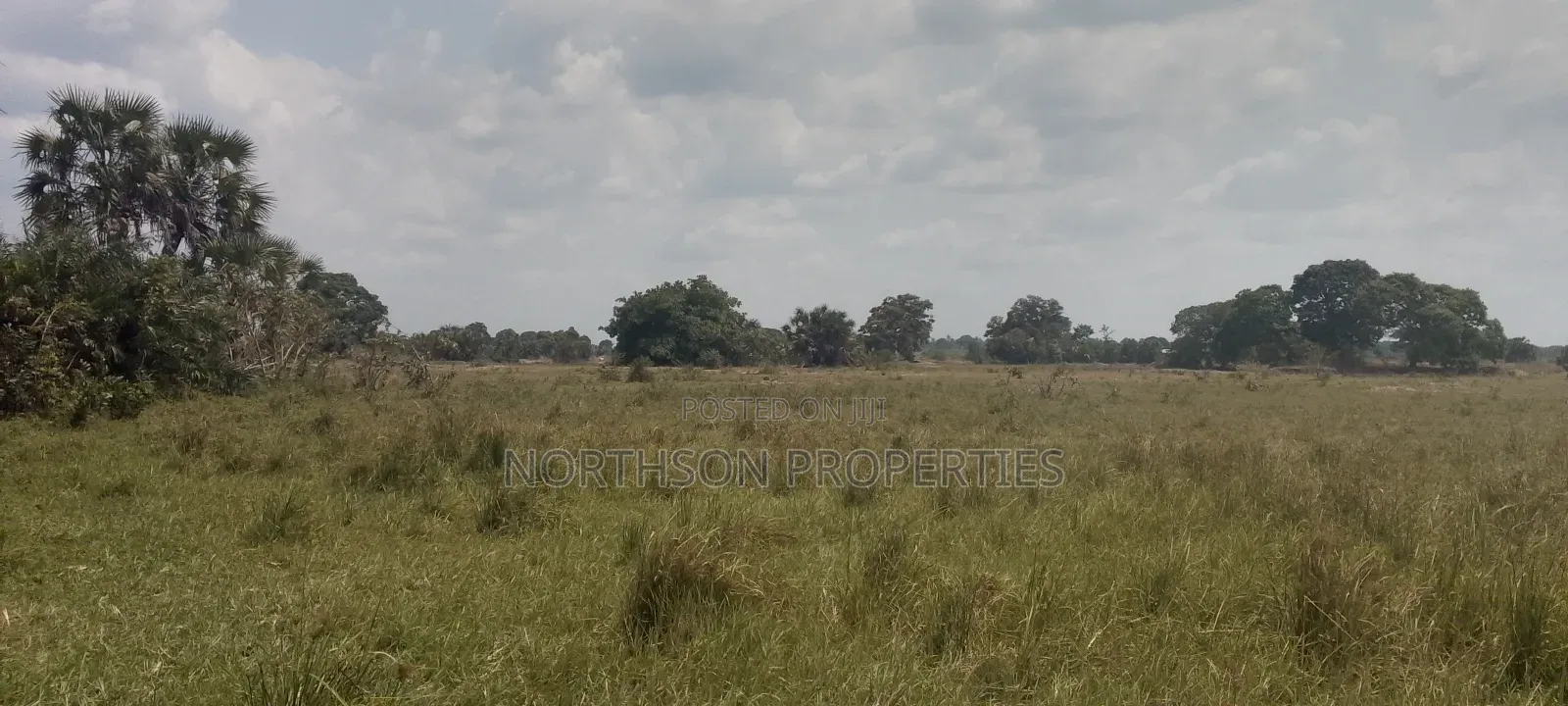 Kiwanja Kitopeni Bagamoyo Mjini