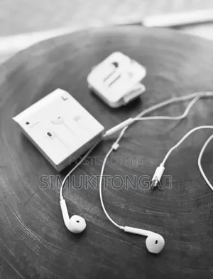 Apple Wired Earpods.