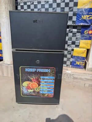 Boss Friji 53L No Kipengele