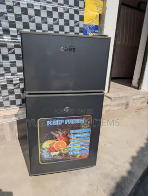 Boss Friji 53L No Kipengele