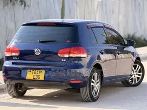 Volkswagen Golf 2010 Blue