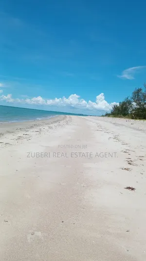 Beach Plot Near Saadani Park.