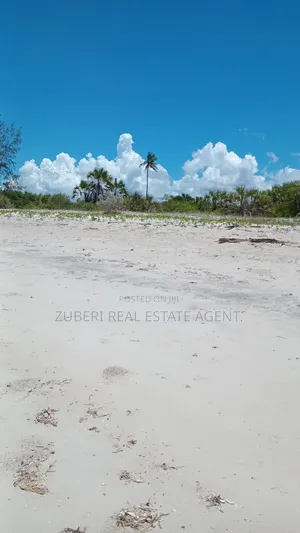 Beach Plot Near Saadani Park.