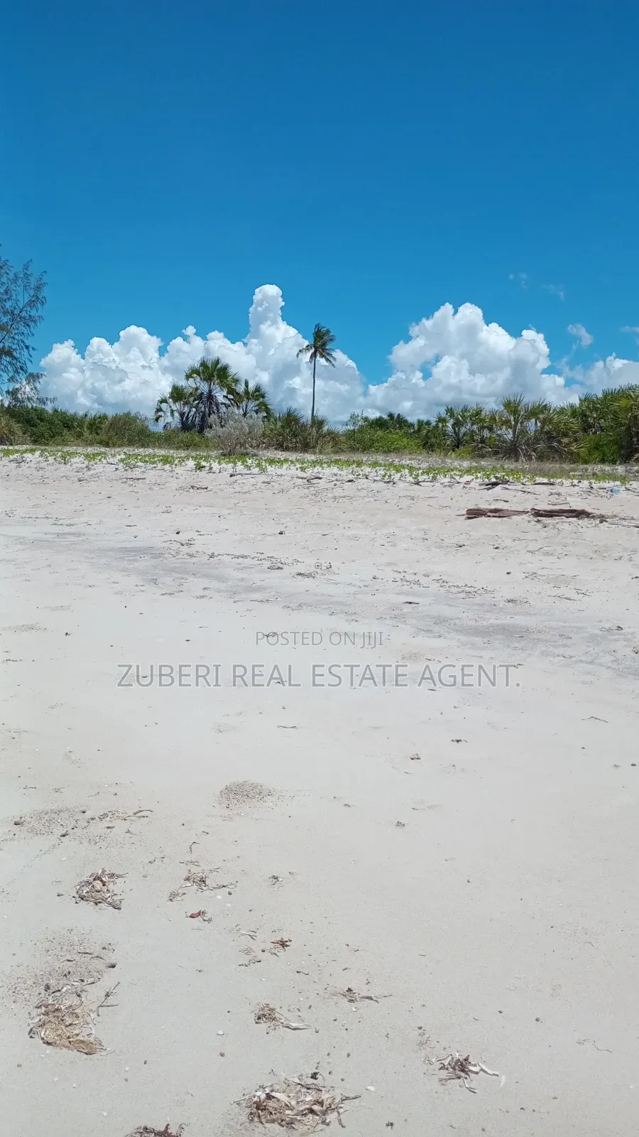 Beach Plot Near Saadani Park.
