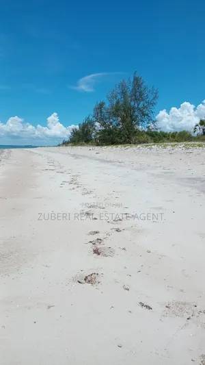 Beach Plot Near Saadani Park.