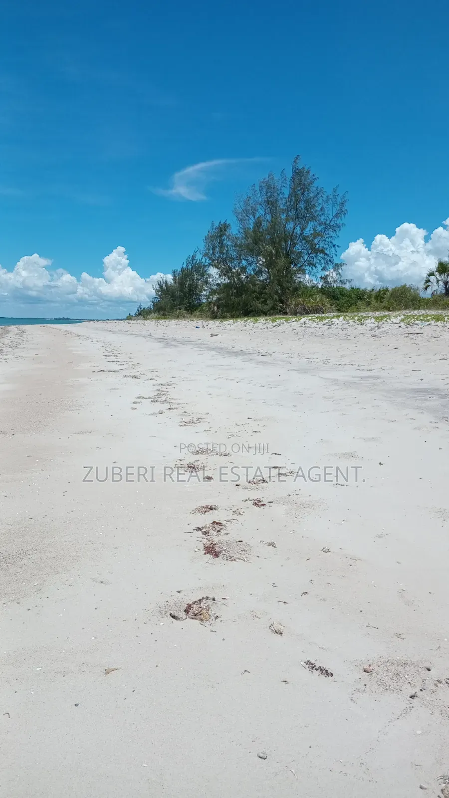 Beach Plot Near Saadani Park.