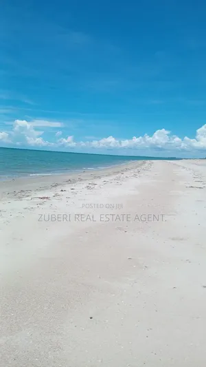 Beach Plot Near Saadani Park.
