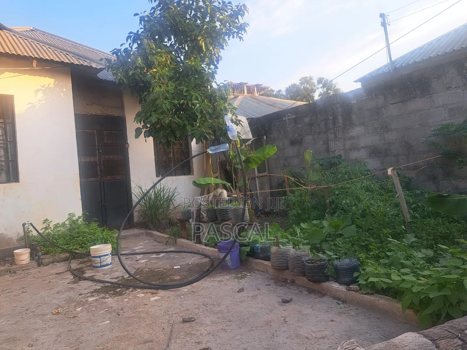 8bdrm Penthouse in Mangushi, Kipawa for sale
