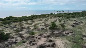Saadani Park Beach Plot on Sale