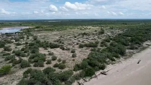 Saadani Park Beach Plot on Sale