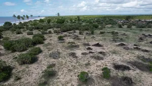 Saadani Park Beach Plot on Sale