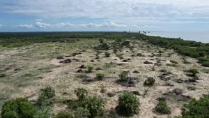 Saadani Park Beach Plot on Sale