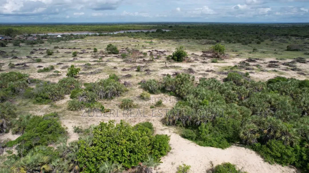 Saadani Park Beach Plot on Sale