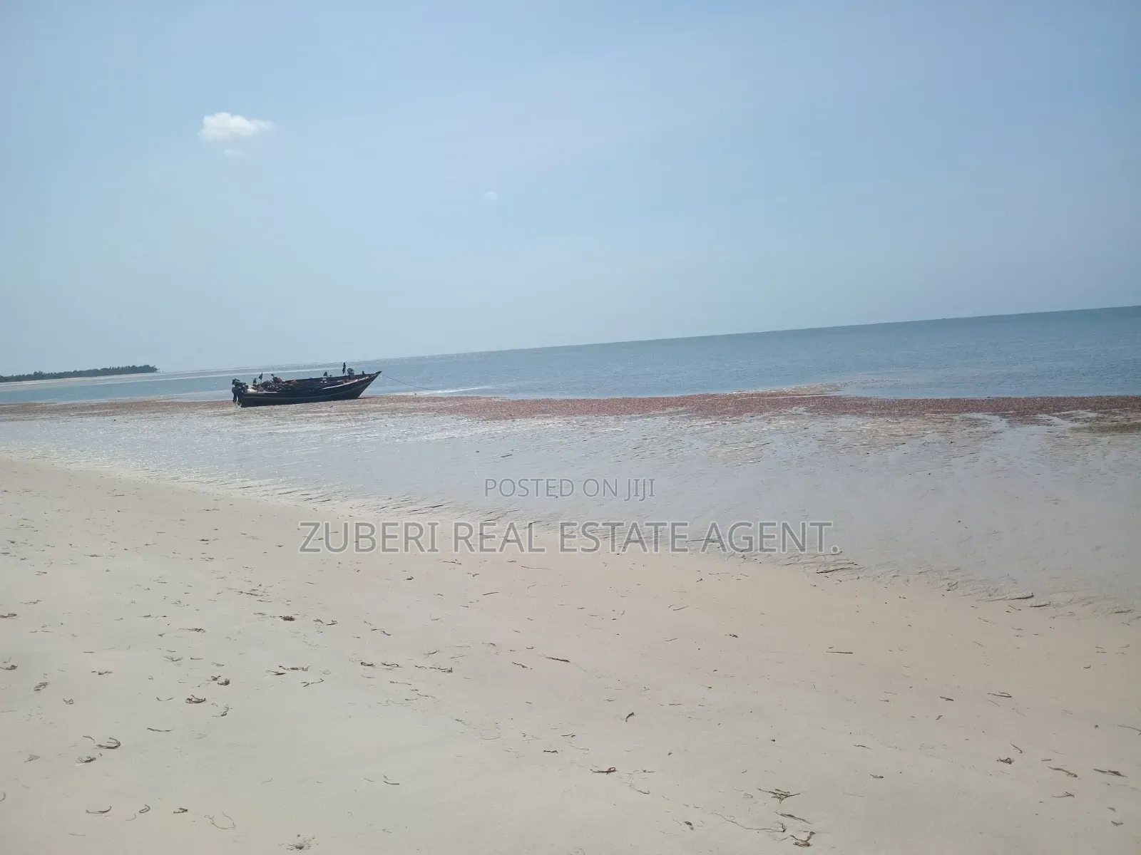 Saadani Park Beach Plot on Sale