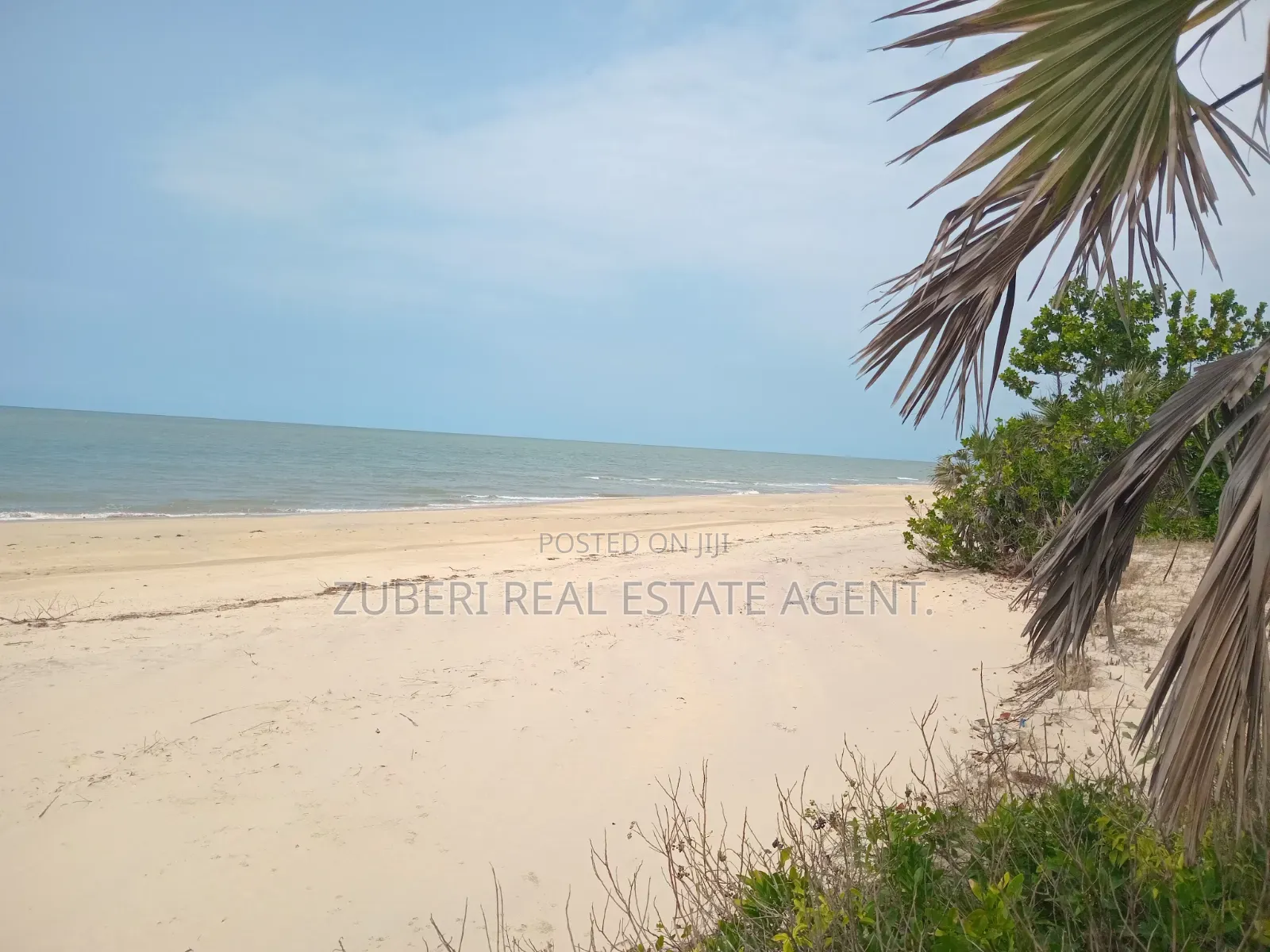 Saadani Park Beach Plot on Sale