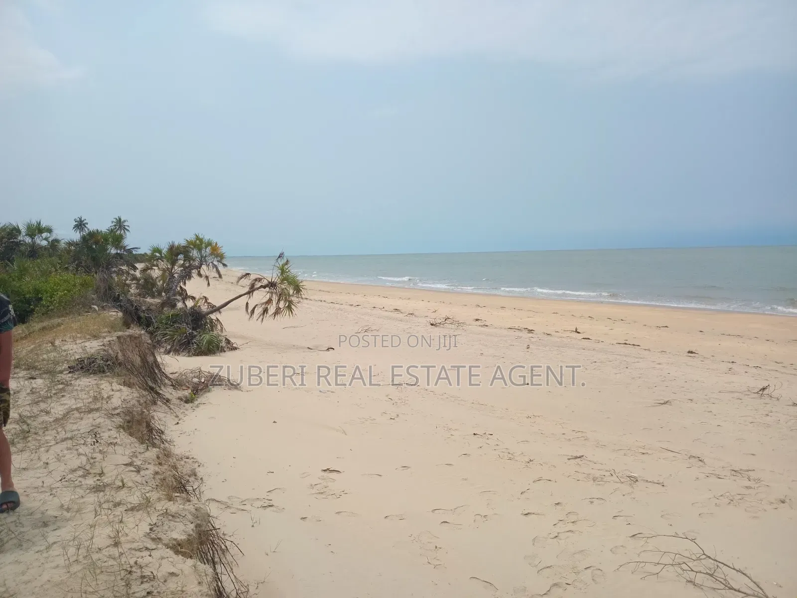 Saadani Park Beach Plot on Sale