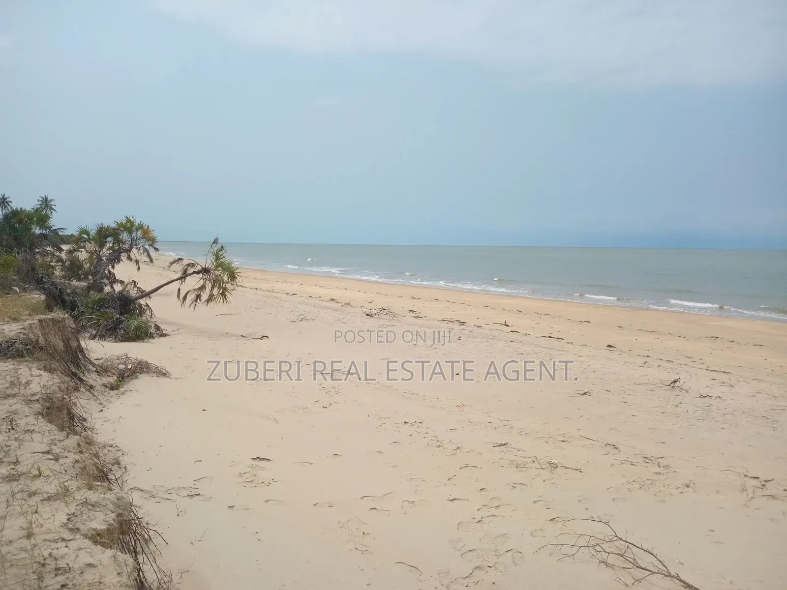 Saadani Park Beach Plot on Sale