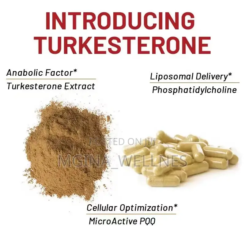 Turkesterone 500mg Supplement (60 Capsules)