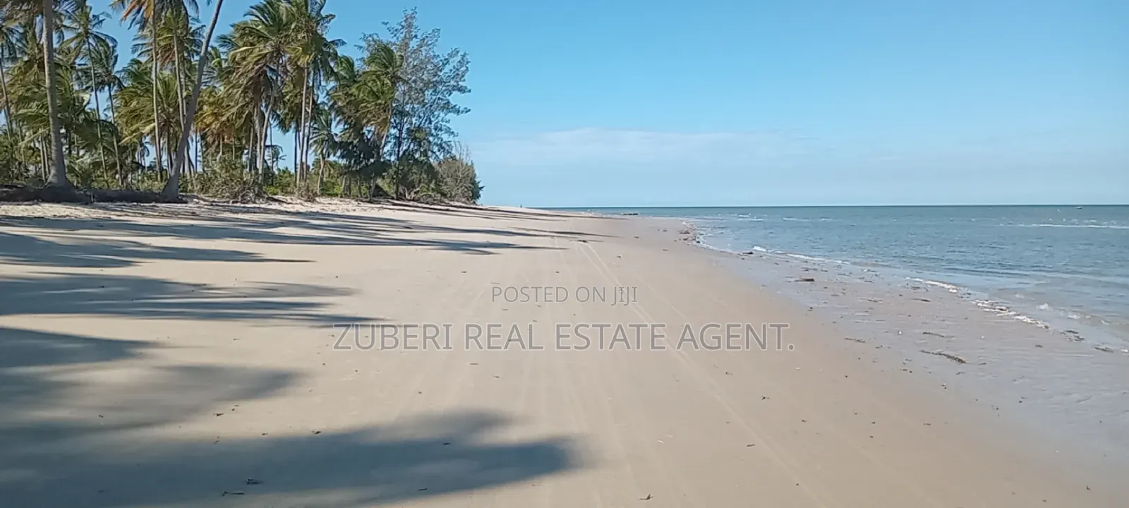 Mkwaja Pangani Beach Plot on Sale