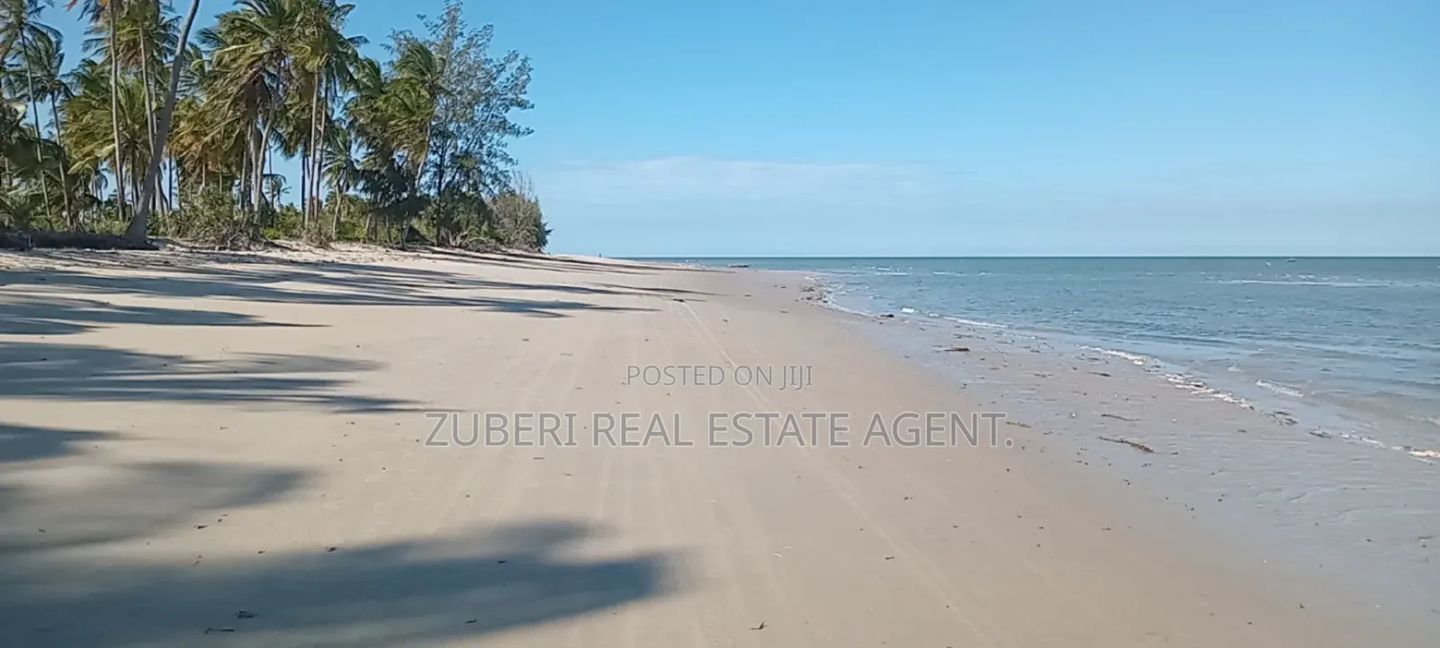 Mkwaja Pangani Beach Plot on Sale