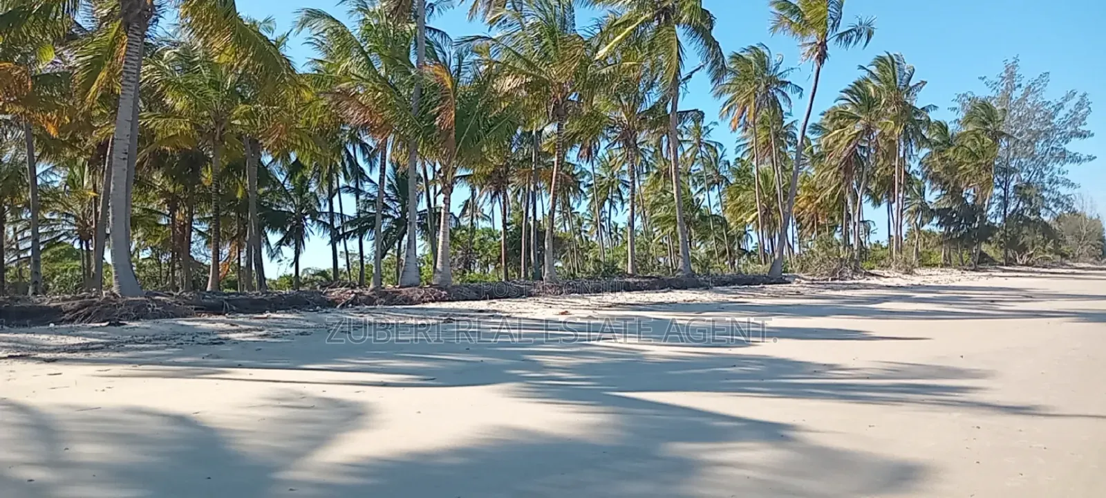 Mkwaja Pangani Beach Plot on Sale