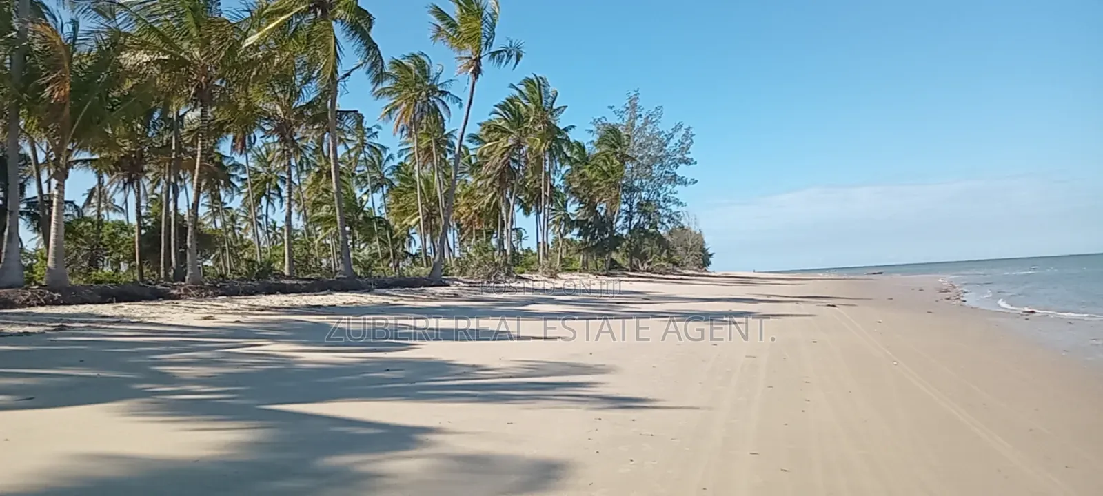 Mkwaja Pangani Beach Plot on Sale
