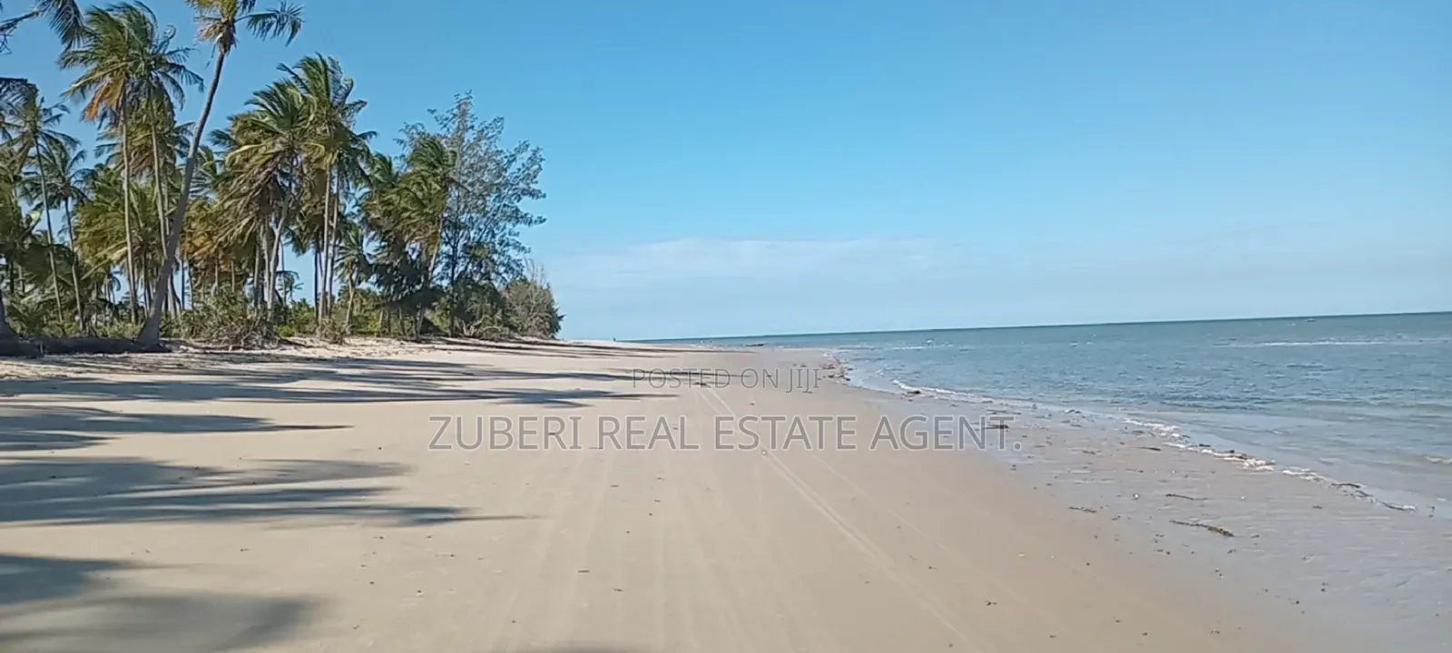 Mkwaja Pangani Beach Plot on Sale
