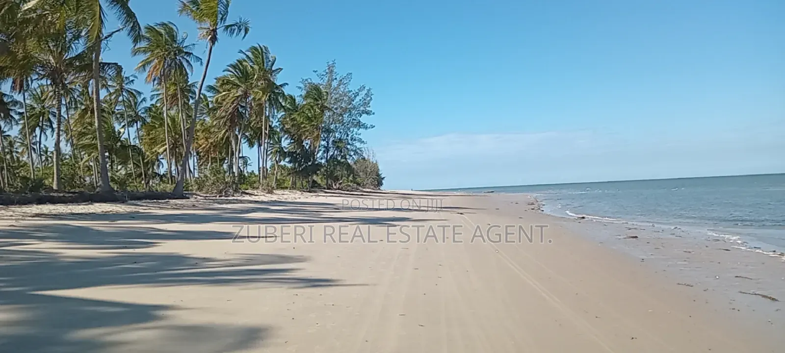 Mkwaja Pangani Beach Plot on Sale