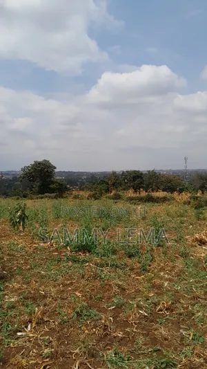 Plot on the Hill for Sale Njiro Arusha
