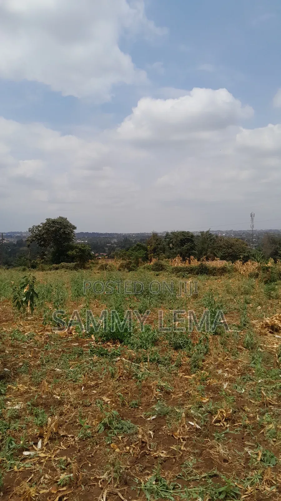 Plot on the Hill for Sale Njiro Arusha