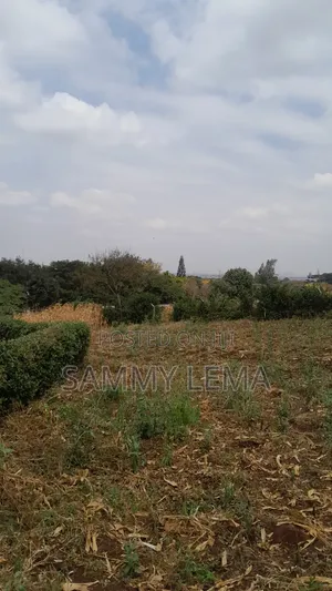 Plot on the Hill for Sale Njiro Arusha