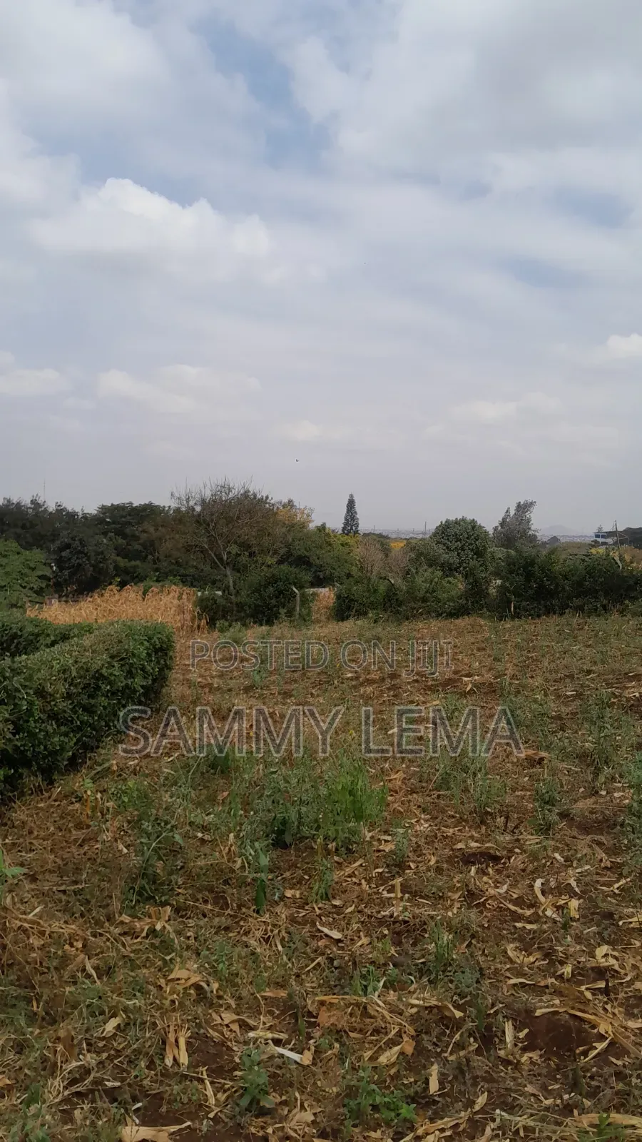 Plot on the Hill for Sale Njiro Arusha