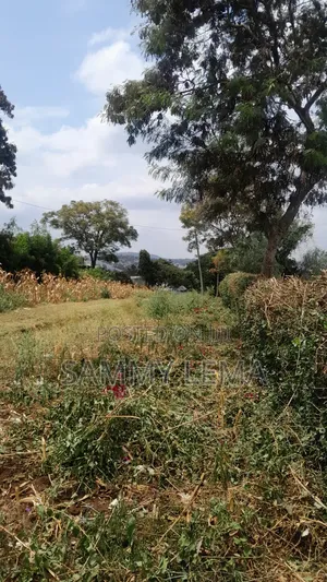 Plot on the Hill for Sale Njiro Arusha