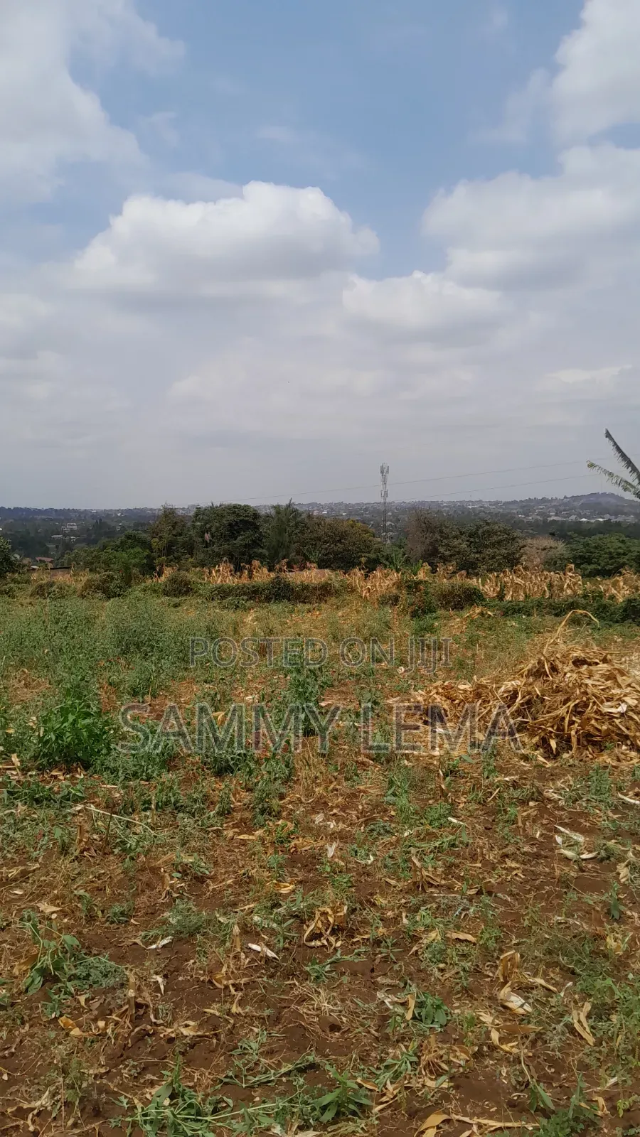 Plot on the Hill for Sale Njiro Arusha