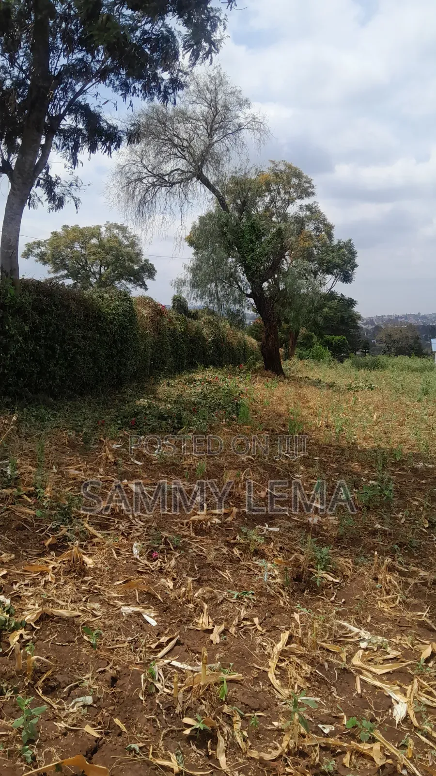 Plot on the Hill for Sale Njiro Arusha