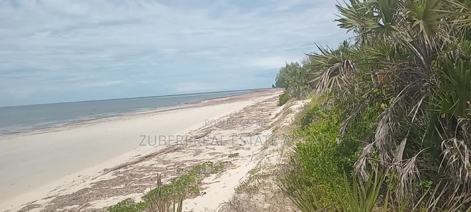 1 Acre Beach Plot on Sale Pangani