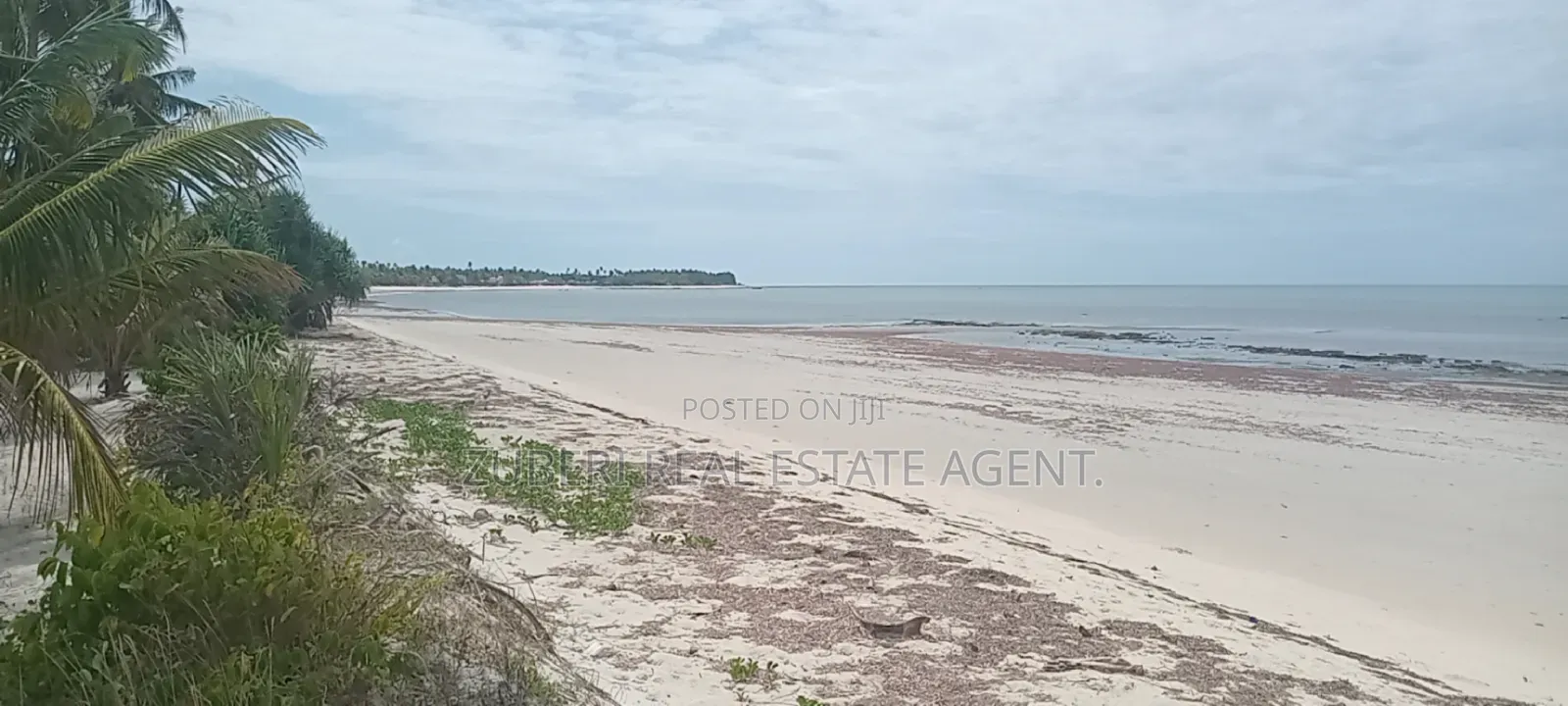 1 Acre Beach Plot on Sale Pangani