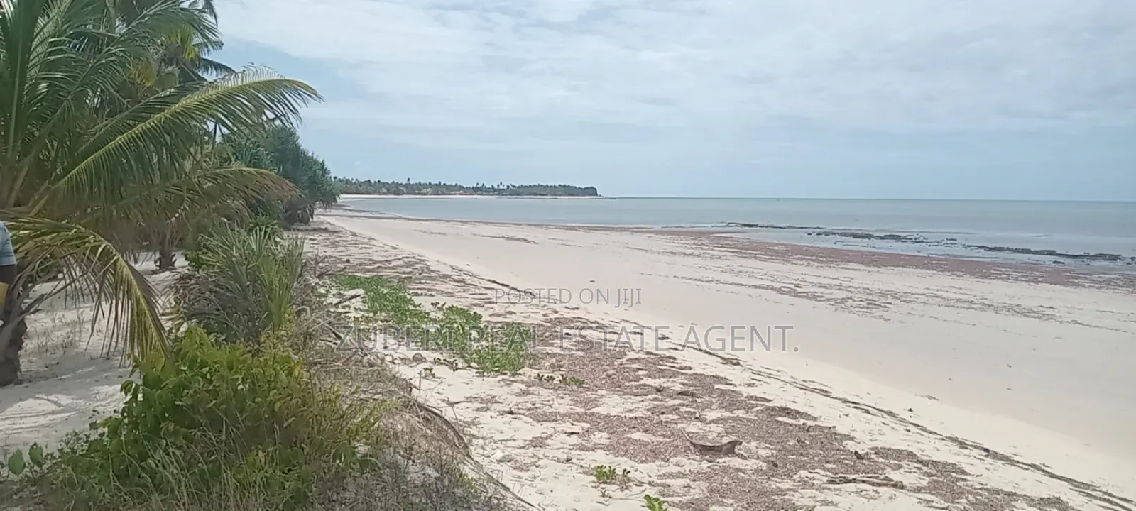 1 Acre Beach Plot on Sale Pangani